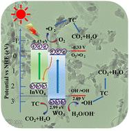 Construction of a Z-scheme WO3/InVO4 heterojunction for enhanced tetracycline photodegradation efficiency