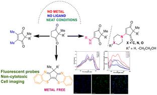 Oxidative functionalization of cyclopentane-1,3-diones: cell imaging studies of diphenothiazine derivatives