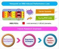 Deciphering halide ion migration and performance loss in wide-bandgap perovskite solar cells: connection, mechanism, and solutions