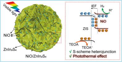 Self-integrated black NiO clusters with ZnIn2S4 microspheres for photothermal-assisted hydrogen evolution by S-scheme electron transfer mechanism