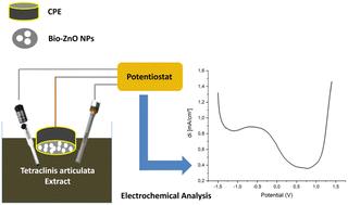 Development of a bio-synthesized zinc oxide nanoparticle sensor for the quantification of totarolone in Tetraclinis articulata