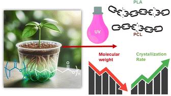 Mechanical, barrier, and photodegradation properties of biodegradable PLA-based blend films
