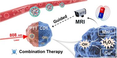 Copper–manganese hybrid nanogel for MRI-guided combined photothermal and chemodynamic tumor theranostics