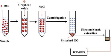 Graphene oxide mediated dispersive micro solid phase extraction (Dμ-SPE) and quantification of rare earth elements (REEs) from seawater and coal fly-ash by ICP-OES