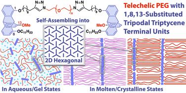 Self-assembly behaviour of telechelic polyethylene glycol with triptycene termini capable of two-dimensional ordering