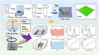 Synergistic integration of centrifugal ultrafiltration and superhydrophilic substrates for enhanced sensitivity and stability in laser-induced breakdown spectroscopy
