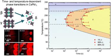 Mapping the polymorphic phase transformations of CsPbI3 perovskite thin films