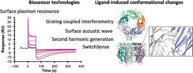 Detection and characterisation of ligand-induced conformational changes in acetylcholine binding proteins using biosensors and X-ray crystallography