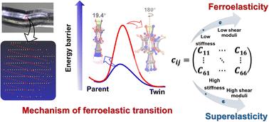 Ferroelasticity versus superelasticity in molecular crystals: the role of weak switchable interaction motifs and low shear moduli