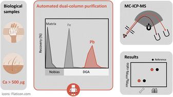 Fully automated dual-column purification procedure for Pb from biological materials for subsequent high-precision isotopic analysis