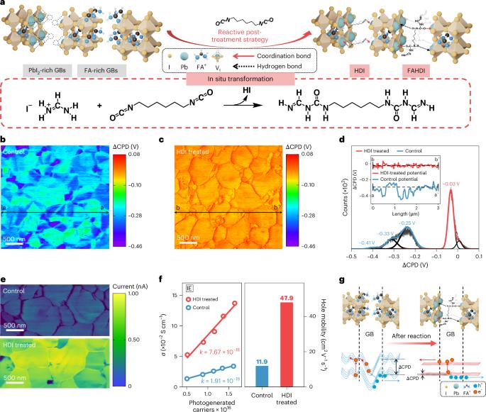 Enhancing hole-conductor-free, printable mesoscopic perovskite solar cells through post-fabrication treatment via electrophilic reaction