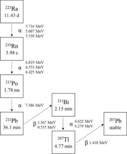 Application of polyethylene naphthalate sheets to alpha particle discrimination in the use of 4πα-γ anti-coincidence spectroscopy
