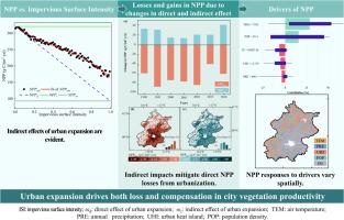 Urban expansion drives both loss and compensation in city vegetation productivity