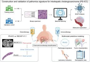 A pathomics-integrated multimodal model to evaluate chemoimmunotherapy efficacy in unresectable intrahepatic cholangiocarcinoma