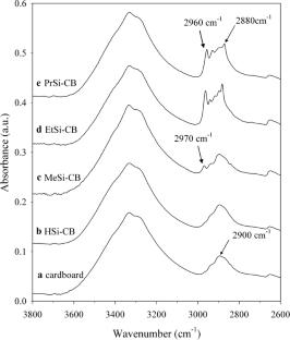 Effects of Silane Chemical Structures on the Surface Properties of Silanized Cardboard: Inverse Gas Chromatography and Complementary Analysis