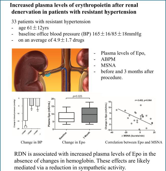 Increased plasma levels of erythropoietin after renal denervation in patients with resistant hypertension