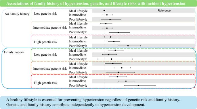 Associations of family history of hypertension, genetic, and lifestyle risks with incident hypertension