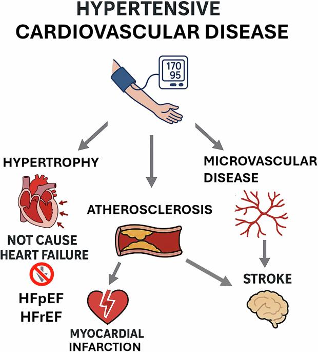 Hypertensive heart disease: is it really a pathology?