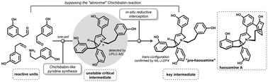 Bypassing the abnormal Chichibabin reaction dead-end provides a biomimetic access to pre-haouamine