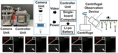 Adhesion-based cell sorting platform using on-chip centrifugation