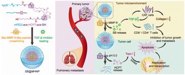 Sequentially unlockable prodrug nanoparticles enable spatiotemporal coordination of chemotherapy and tumor microenvironment regulation for metastasis prevention in breast cancer