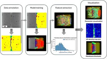 Advancing vanadium redox flow battery analysis: a deep learning approach for high-throughput 3D visualization and bubble quantification