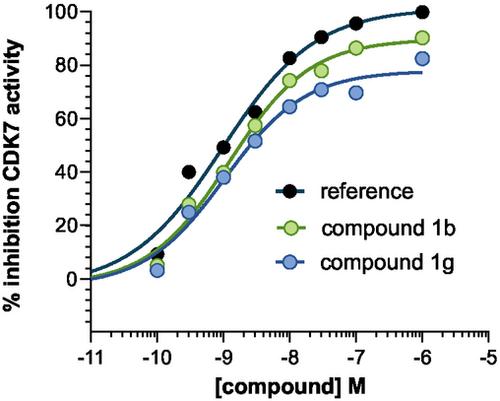 Novel Pyrazolo [1,5-a]−1,3,5-Triazine Derivatives as CDK7 Inhibitors: Synthesis and Biological Insights in Pancreatic Ductal Adenocarcinoma Models