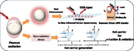 Plasmonics for Chemical Transformation: From Fundamentals to the Cutting-Edge Applications