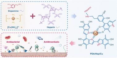 Transformative metal–ligand nanocoating for dual antibacterial and antithrombotic functionality in hemodialysis catheters