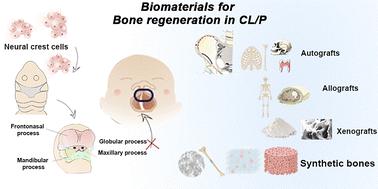 Comprehensive overview of biomaterials for bone regeneration in cleft lip and palate