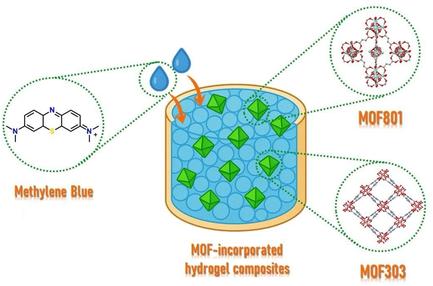 Methylene Blue Dye Absorption Studies of PHEMA@MOF801 and PHEMA@MOF303 Hybrid Hydrogel Composites
