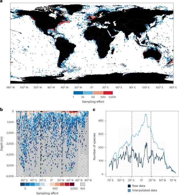Deep-sea-floor diversity in Asteroidea is shaped by competing processes across different latitudes and oceans