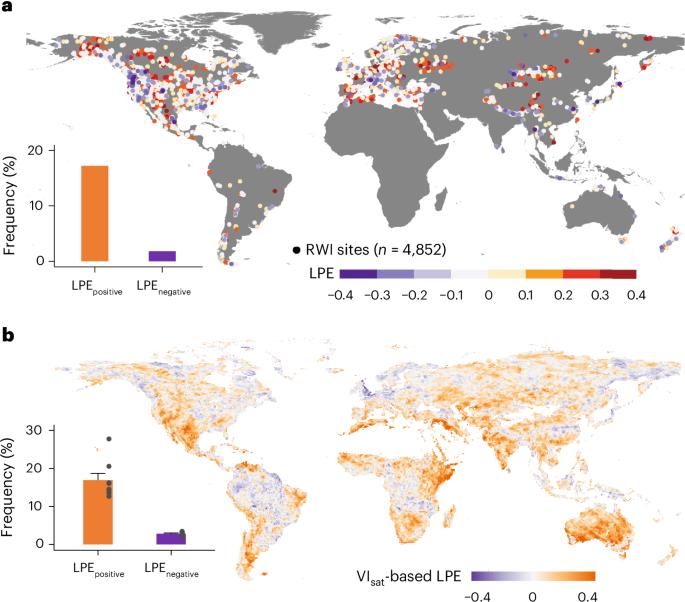 Lingering effects of precipitation on plant productivity