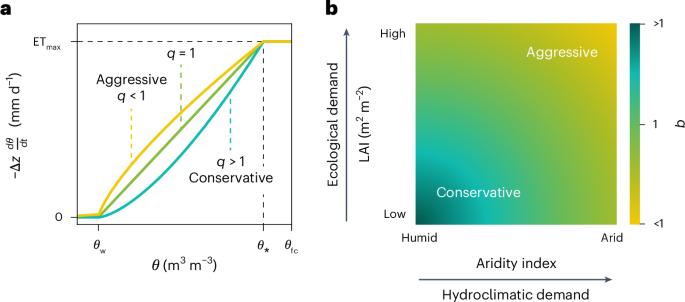 Plant responses to water stress revealed from soil moisture dynamics
