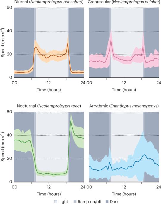 Lake Tanganyika cichlids partition habitat by time