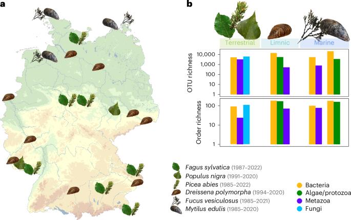 Archived natural DNA samplers reveal four decades of biodiversity change across the tree of life