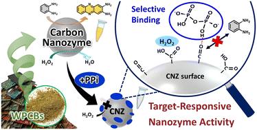 Deciphering target-binding selectivity of waste printed circuit board-derived carbon nanozymes for pyrophosphate sensing