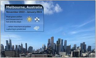 Hot and dry conditions elevate grass pollen and sub-pollen particle concentrations in Melbourne, Australia
