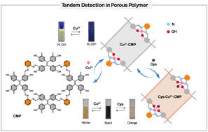 Reversible dual-mode detection of Cu2+ and tandem capture of cysteine using a salphen-conjugated microporous polymer