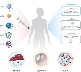 In vivo gene therapy: A strategy for mutations, degenerations, and tumors
