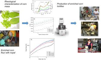Effect of the addition of fresh cactus (nopal) on the production of enriched maize flour and tortillas