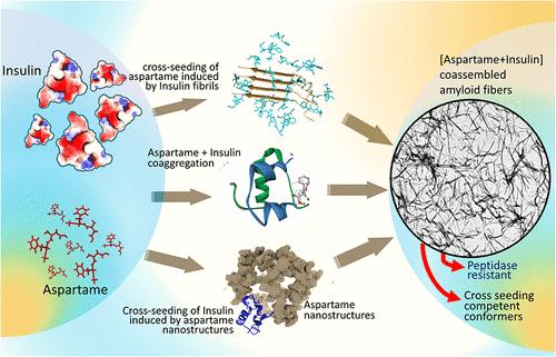 Molecular Crosstalk between Artificial Sweetener Aspartame and Diabetes-Linked Insulin Hormone Unveils Possible Amyloidosis Risks