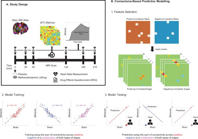 Connectome-based encoding of subjective drug responses to acute oral methamphetamine