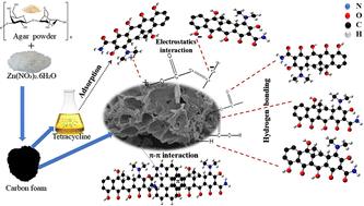 Carbon foams derived from biomass with ultra-high adsorption capacity for the removal of tetracycline