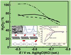 Inverse nanocomposites of polyaniline/MnO2 nanorods for efficient production of hydrogen peroxide through electrocatalytic oxygen reduction in acidic solution