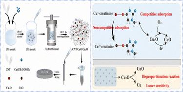 Unveiling superior creatinine detection: advanced electrochemical biosensor with remarkable sensitivity
