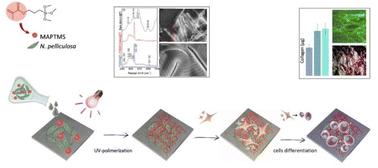 Topographical modification of titanium using diatom biosilica to promote human mesenchymal stem cell proliferation and osteogenic differentiation