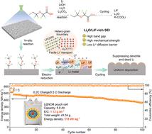 Achieving a stable 518 Wh kg−1 Li metal pouch cell via SEI reconstruction engineering for high Li+ conductive hetero-grain boundaries