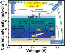 19.6% efficiency of layer-by-layer organic photovoltaics with decreased energy loss via incorporating TADF materials with intrinsic reverse intersystem crossing