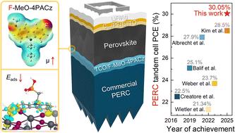 Tailored self-assembled monolayer molecules for perovskite/PERC tandem solar cells with efficiencies over 30%